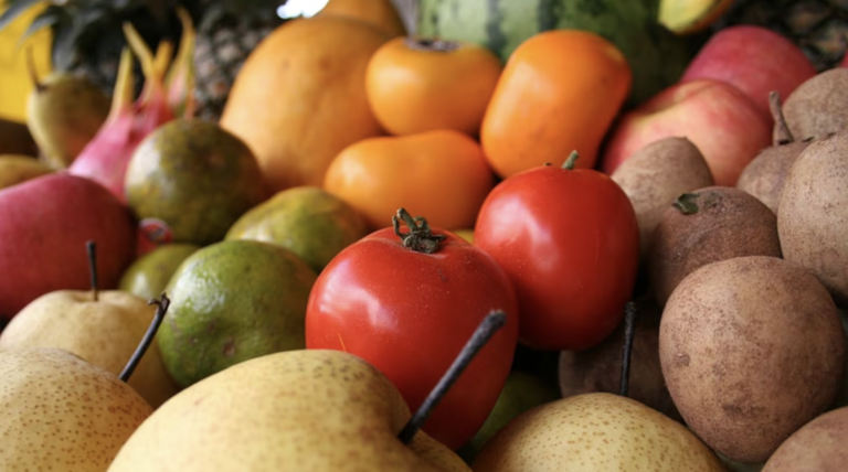 WashU study seeks to increase community health through ‘prescription vegetables,’ ease impact of food deserts
